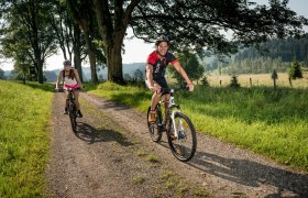 Mountainbiken im Waldviertel, &copy; &copy; Waldviertel Tourismus, Studio Kerschbaum