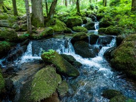 Die romantische Steinbachklamm bei Marbach im Nibelungengau, &copy; Robert Herbst