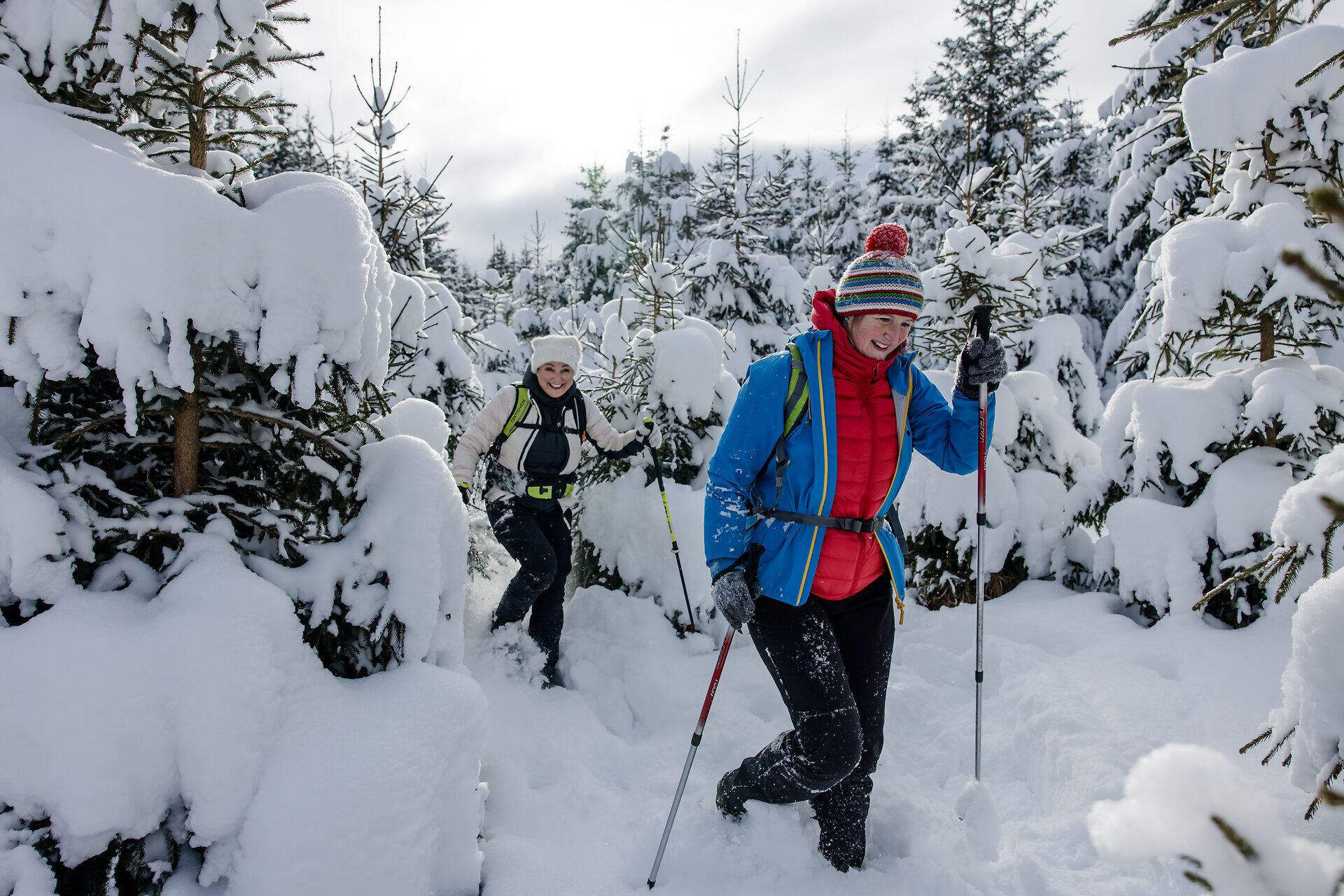 Zwei Personen wandern im Schnee durch einen verschneiten Wald.