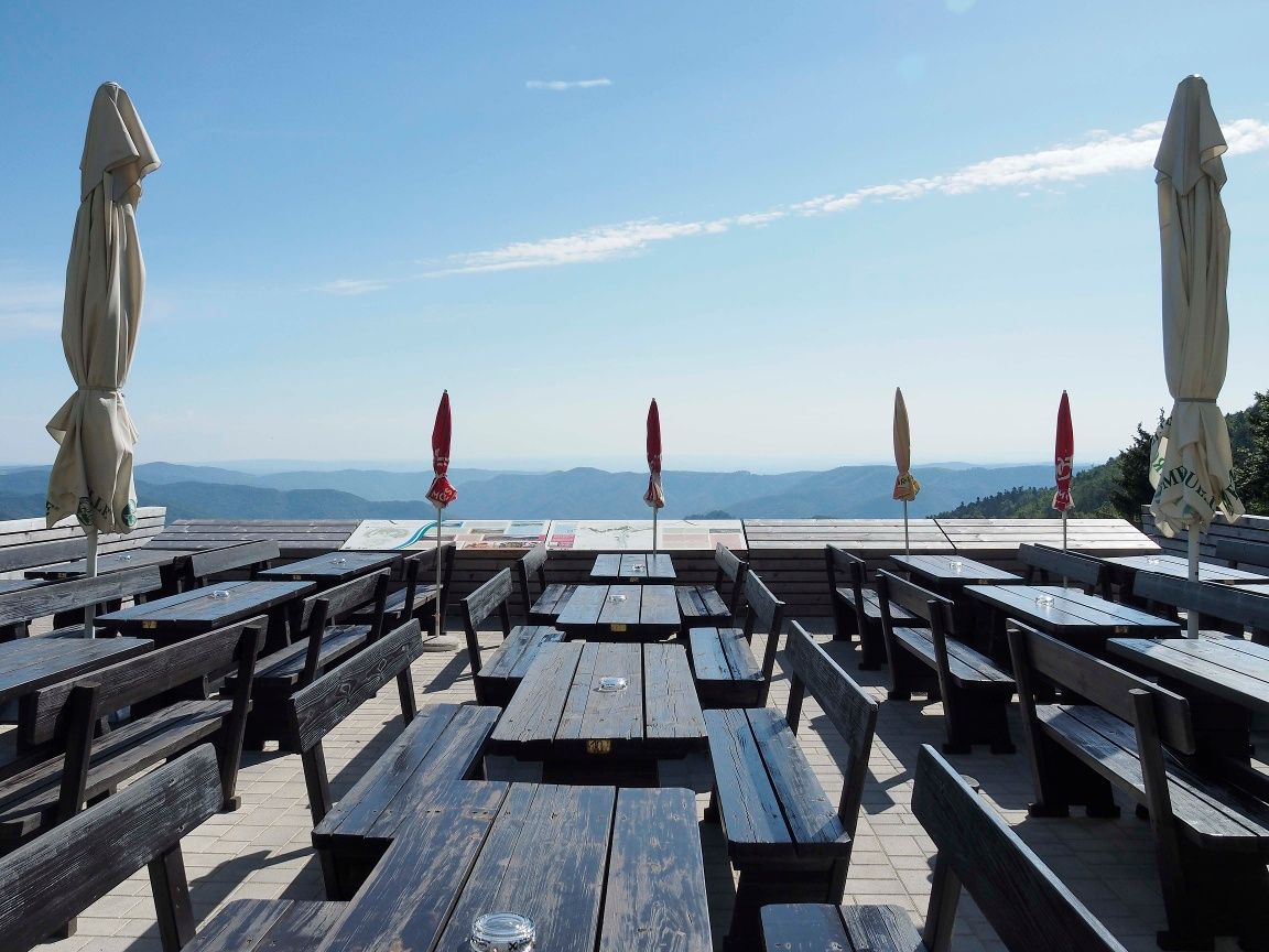 Wachauterrasse beim Naturparkhaus am Jauerling
