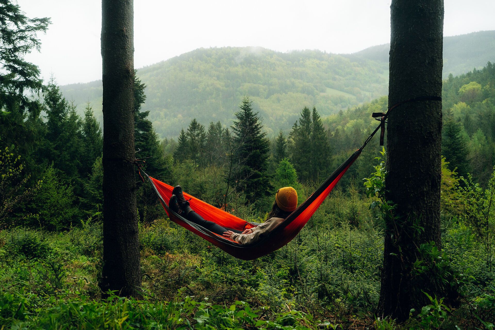 Inmitten der sanften Hügel und dichten Wälder lädt eine leuchtend orangefarbene Hängematte zum Entspannen ein. Der sanfte Wind und das Zwitschern der Vögel schaffen eine friedliche Atmosphäre, während die Nebelschwaden über die Berge ziehen. Hier findet man die perfekte Auszeit in der Natur.