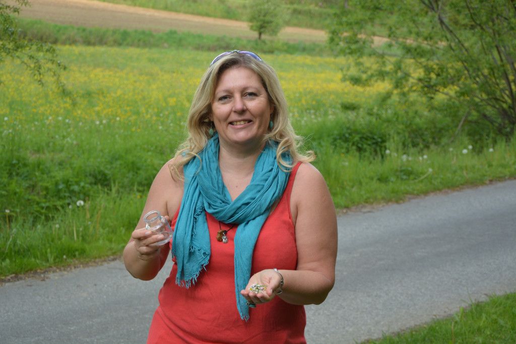Eunike Grahofer Gänseblümchen
