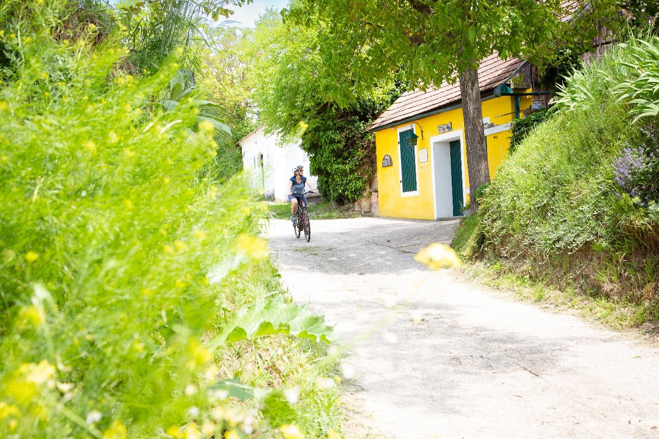 Radfahrerin in der Kellergasse in Fels am Wagram