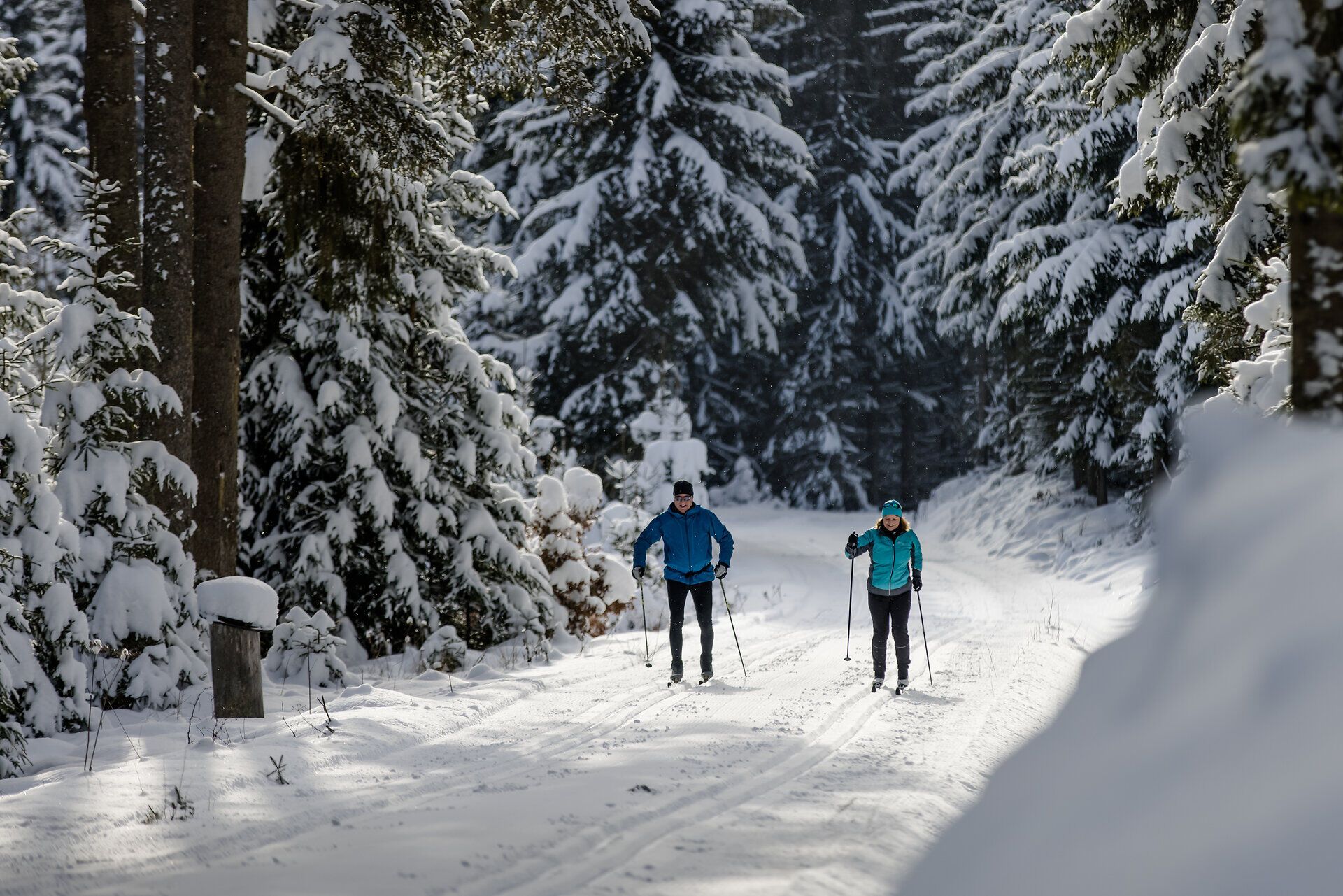 Zwei Personen beim Langlaufen auf einem verschneiten Waldweg.