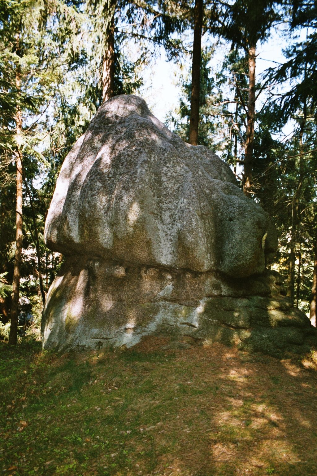 Ein großer, runder Felsen im Wald, umgeben von Bäumen.