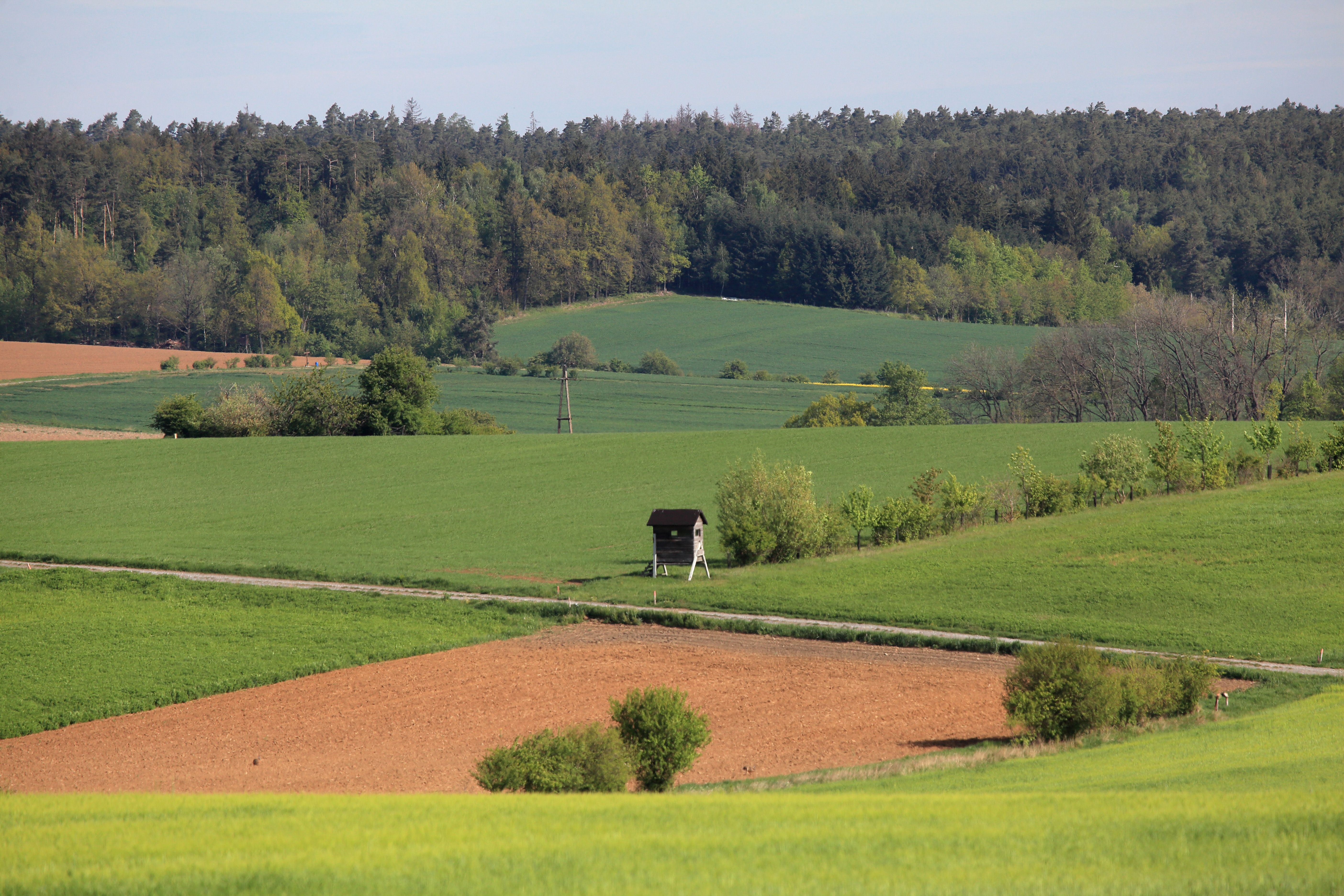 Landschaft mit Feldern, Wald und Hochsitz in der Umgebung von Kloster Pernegg.