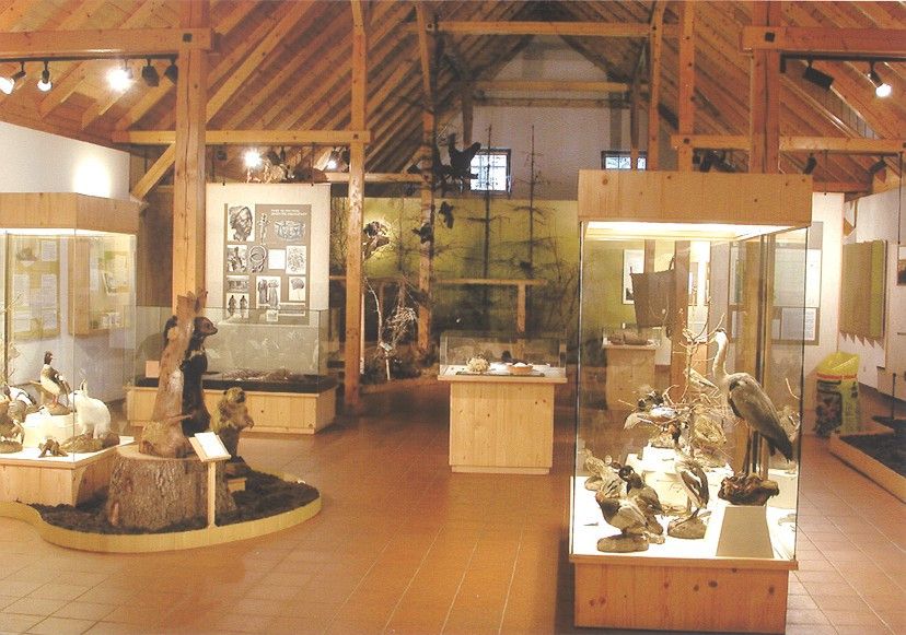 Moormuseum