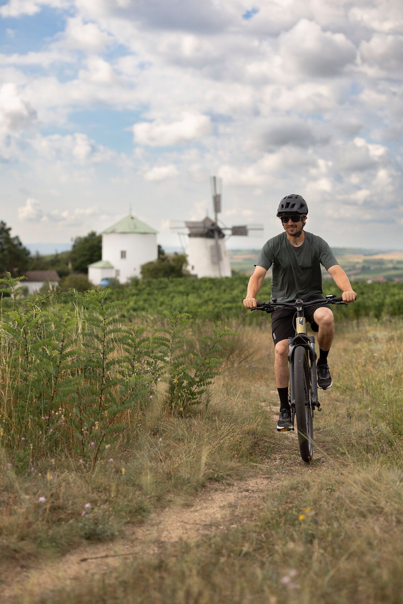 Ein Radfahrer genießt die sanften Hügel des Weinviertels, während die historische Windmühle im Hintergrund majestätisch thront. Die grüne Landschaft und der strahlend blaue Himmel schaffen eine perfekte Kulisse für unvergessliche Erlebnisse in der Natur.