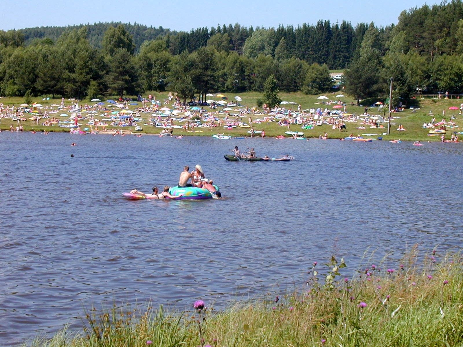 Menschen entspannen am Frauenwieserteich mit Liegen und Sonnenschirmen.