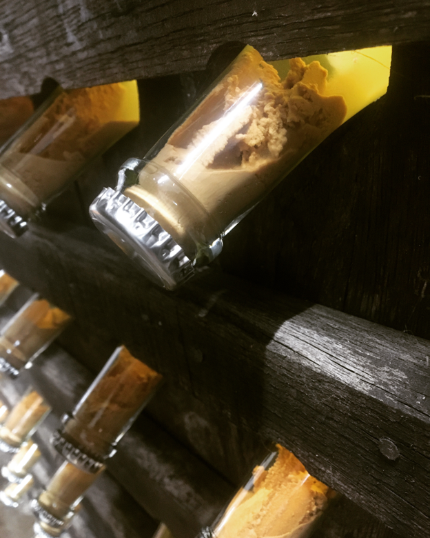 Nahaufnahme von kleinen Glasflaschen mit Korken, die in einem Holzregal schräg gelagert sind.