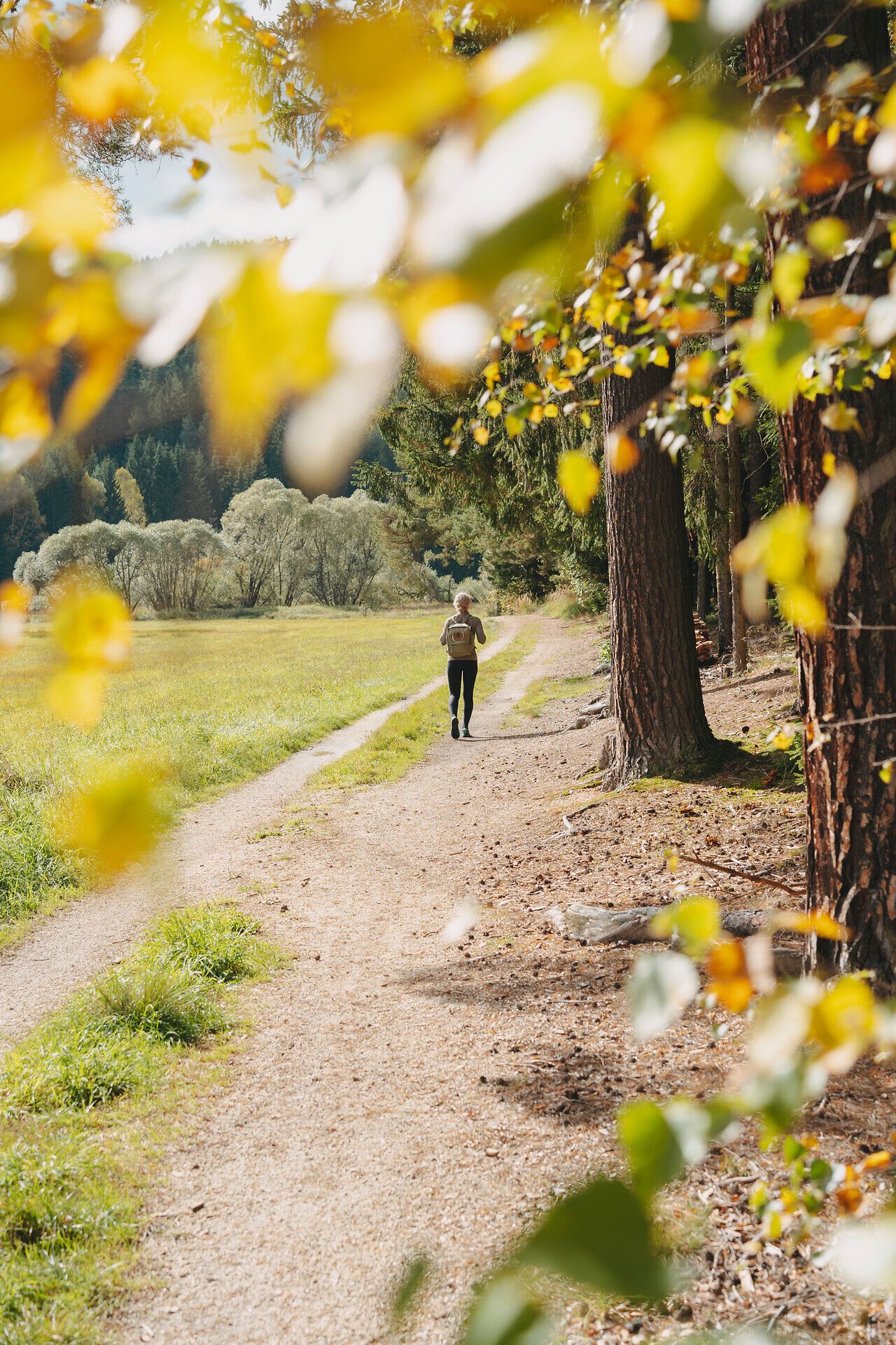 Ein malerischer Wanderweg schlängelt sich durch die herbstliche Landschaft, umgeben von leuchtend bunten Blättern. Die sanfte Brise bringt den Duft von frischem Gras und Erde mit sich, während die Sonne durch die Bäume blitzt und die Szenerie in warmes Licht taucht.