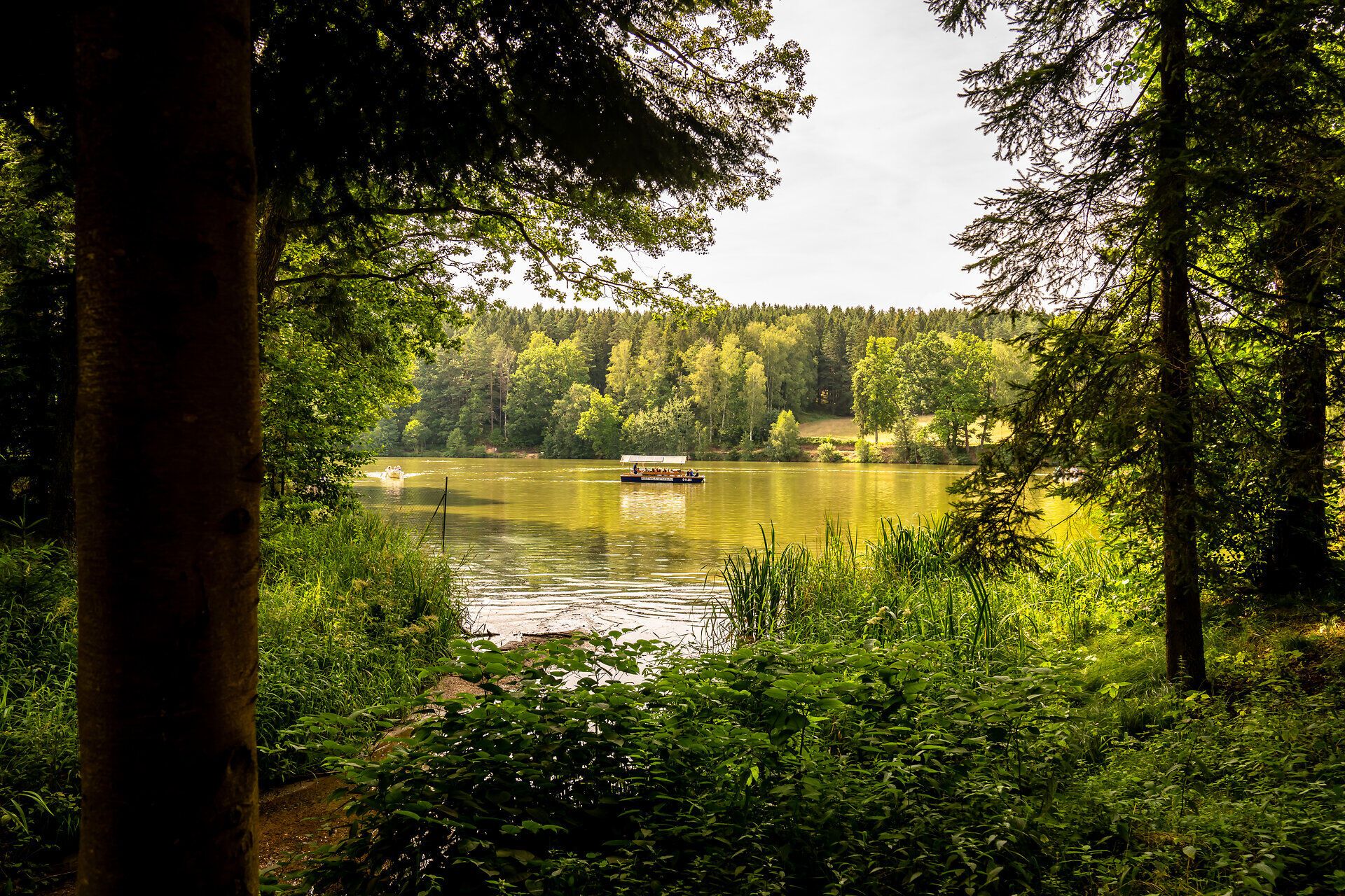 Ein sanfter Wind streicht über den glitzernden See, während die Bäume im Hintergrund ein schattiges Paradies bieten. Die ruhige Atmosphäre lädt dazu ein, die Seele baumeln zu lassen und die Schönheit der Natur zu genießen.