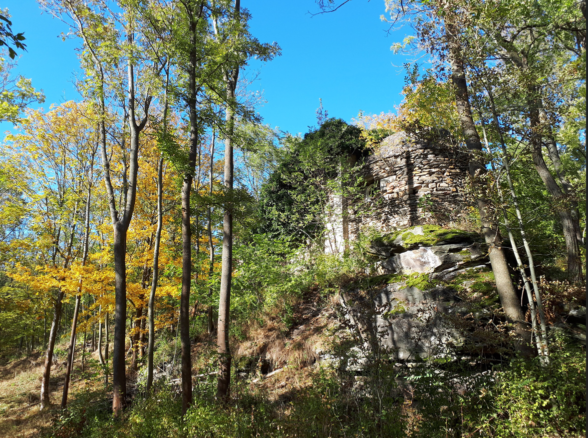 Ruinen einer alten Steinmauer im Wald, umgeben von Bäumen mit Herbstlaub.