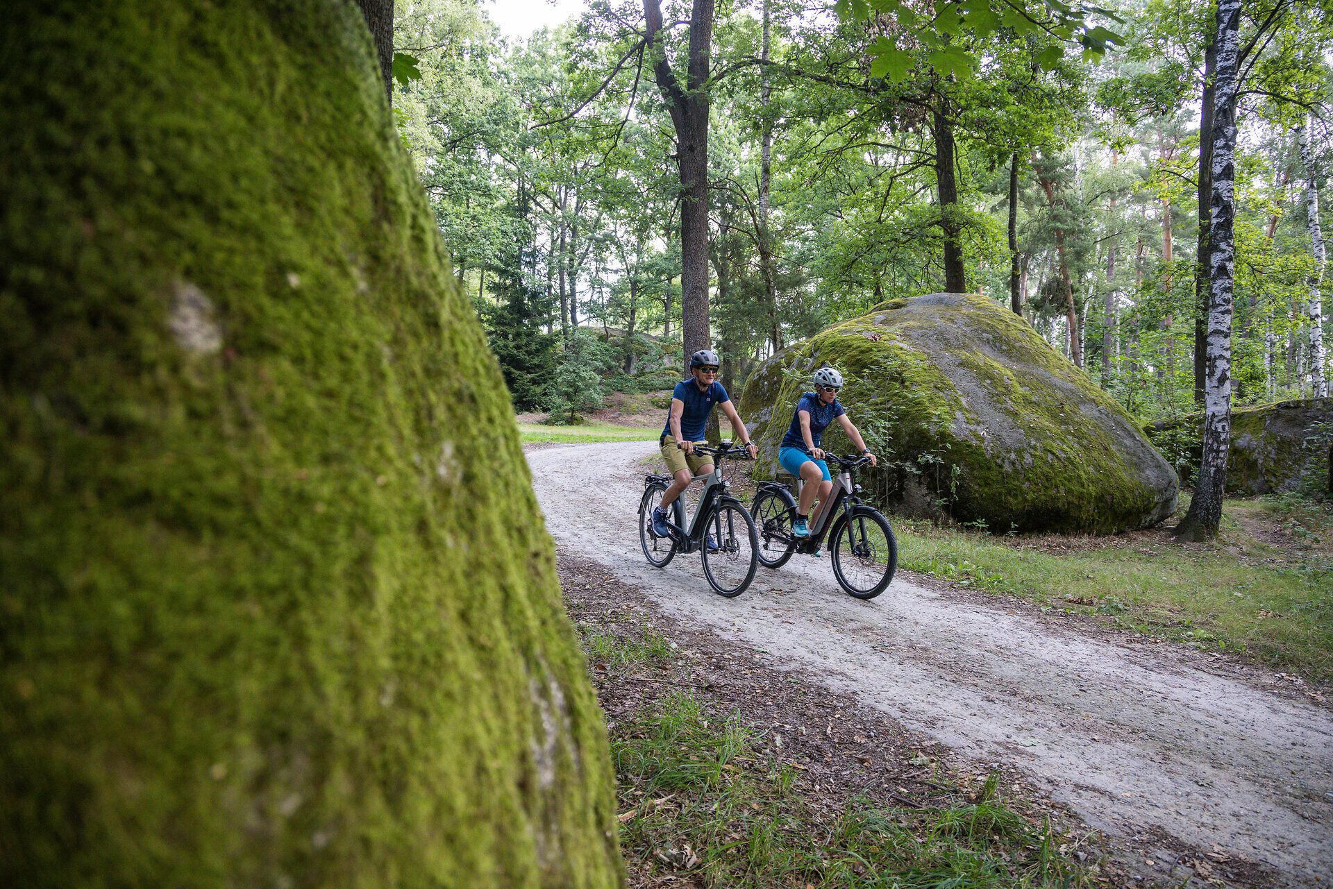 Rad fahren, Wasserlandschaftsradweg, Waldviertel, Naturpark Blockheide