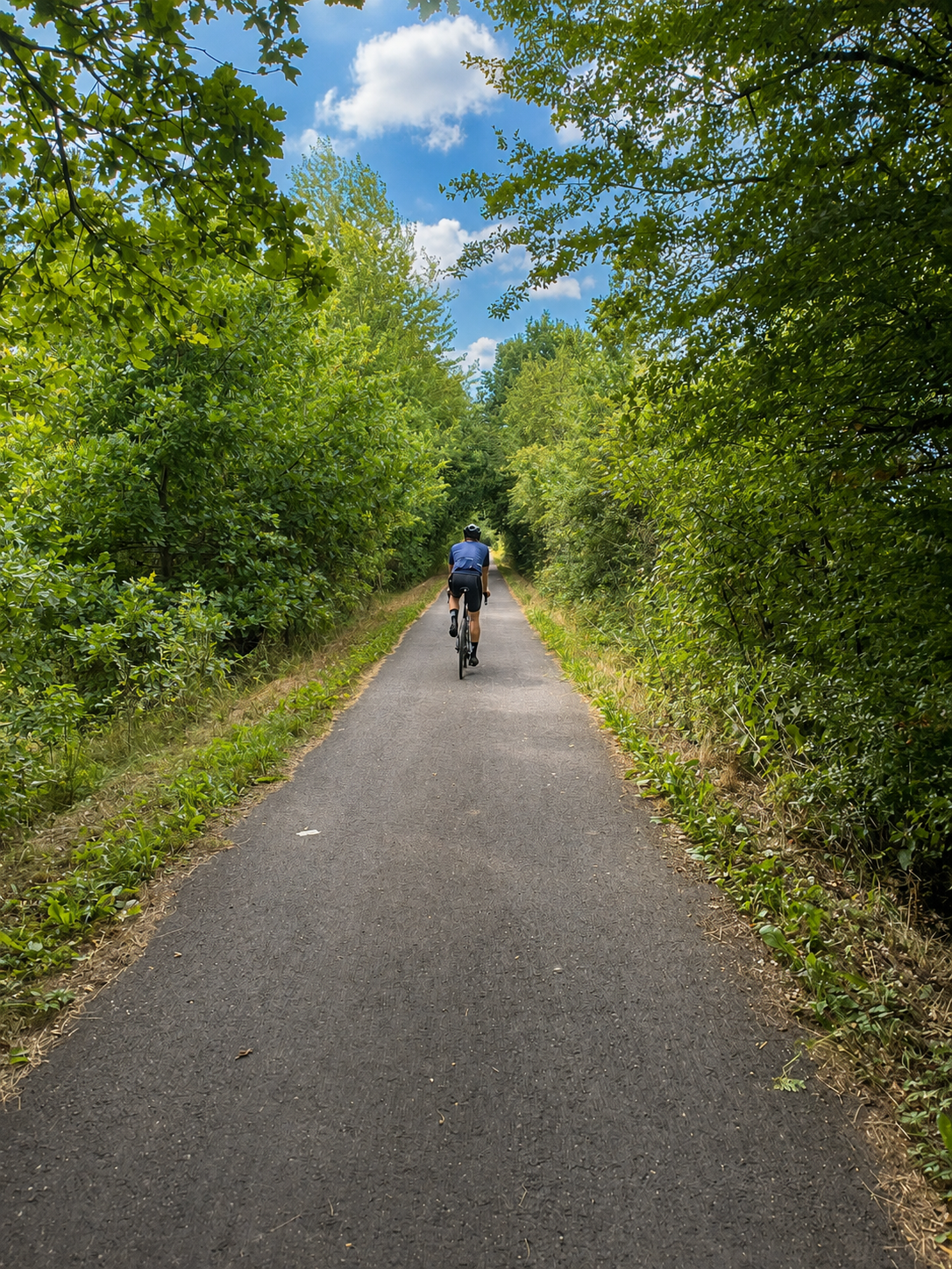 Ein Radfahrer auf einem asphaltierten Weg, umgeben von grünen Bäumen, unter einem blauen Himmel mit weißen Wolken.