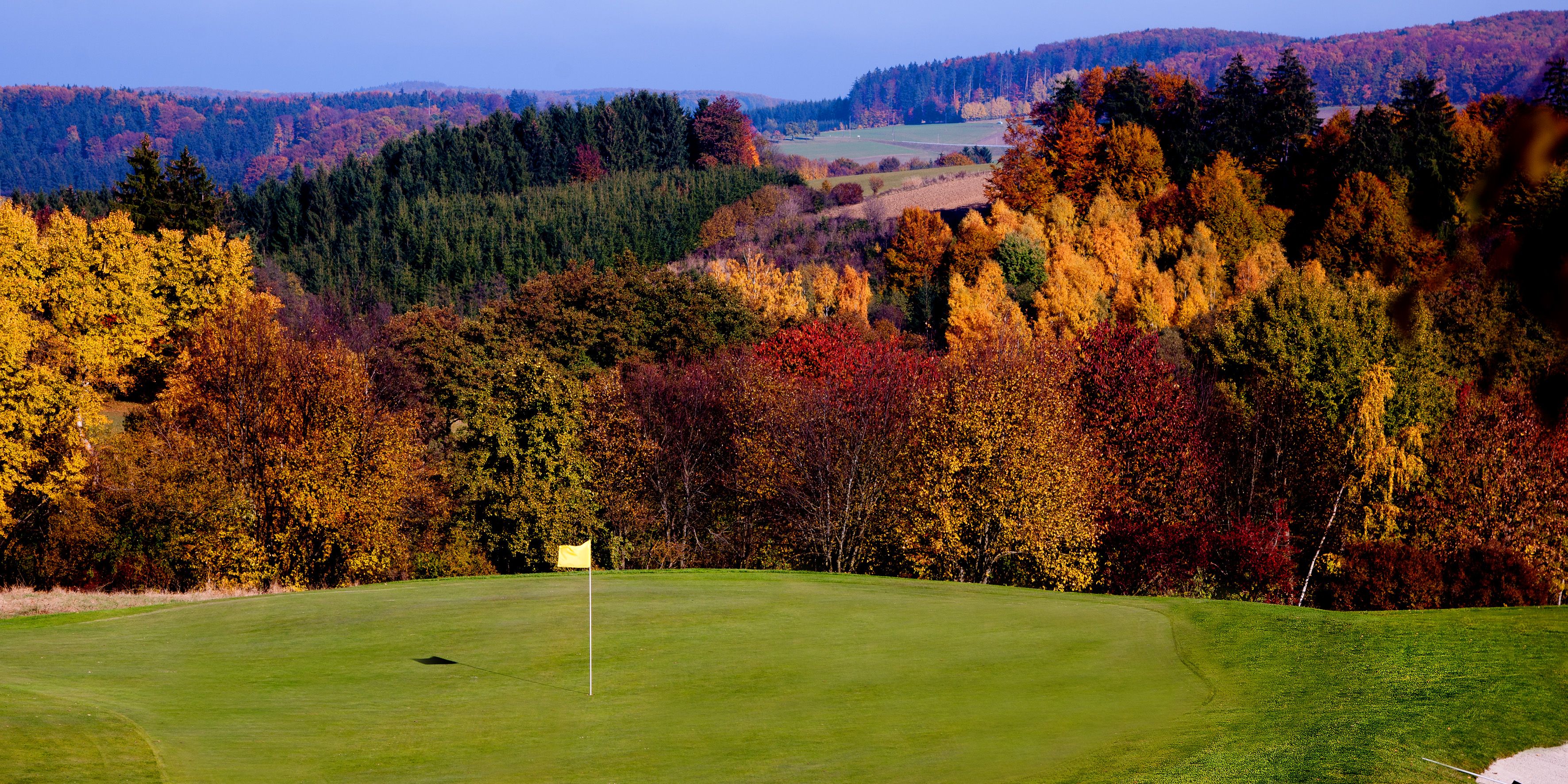 Golfplatz mit Herbstbäumen im Hintergrund, gelbe Fahne auf dem Grün.