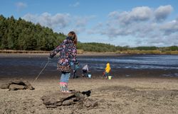 Ein strahlend blauer Himmel über dem Bruneiteich lädt zu einem unvergesslichen Tag in der Natur ein. Kinder erkunden das Ufer, während die sanften Wellen des Wassers die Umgebung in eine friedliche Atmosphäre tauchen. Hier, wo die Natur lebendig wird, können Besucher die Freude am Abfischen und die Schönheit der Landschaft erleben.