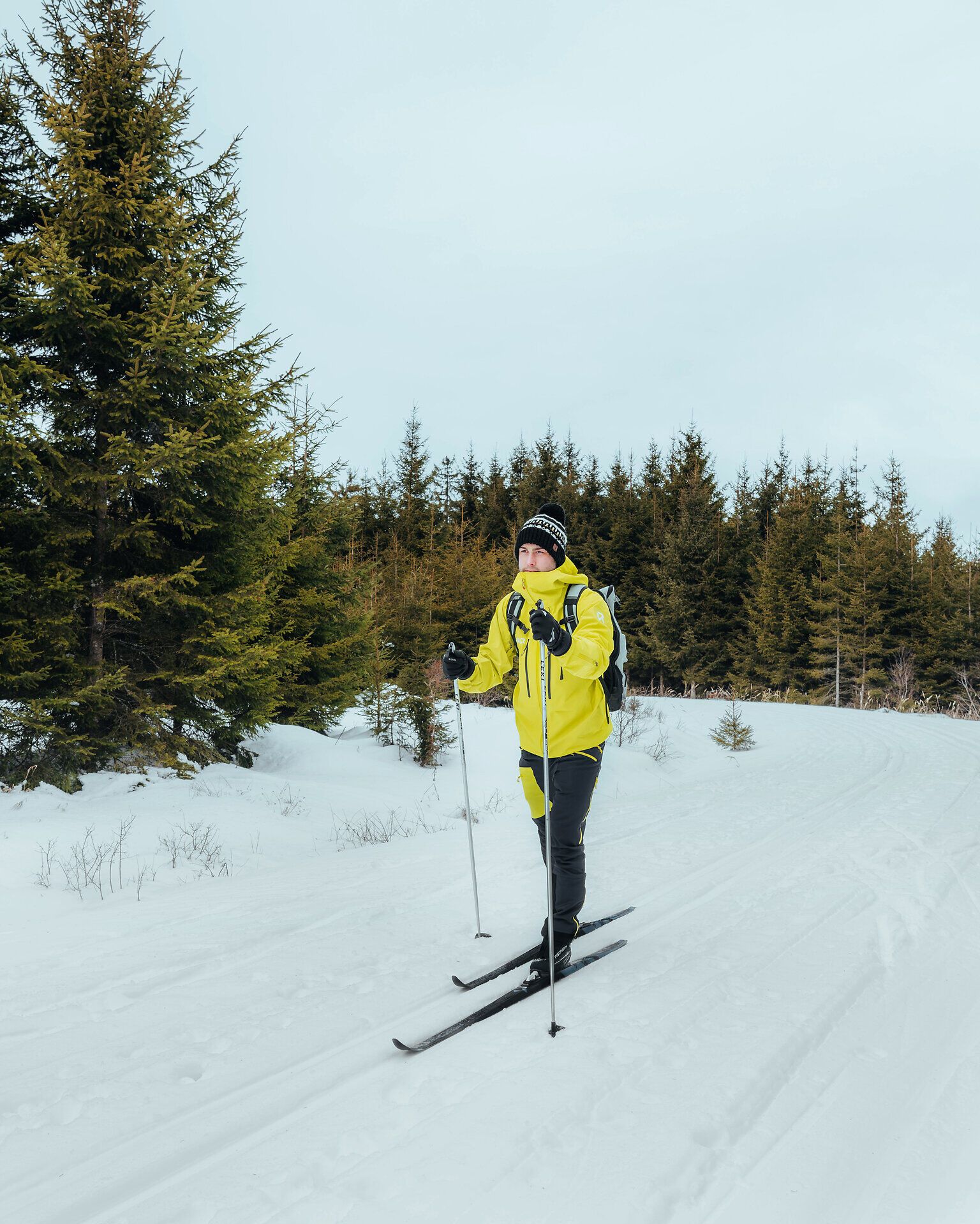 In der winterlichen Landschaft des Waldviertels gleitet ein Langläufer durch die schneebedeckten Wälder, umgeben von majestätischen Tannen. Die frische, klare Luft und die Stille der Natur schaffen eine perfekte Kulisse für ein unvergessliches Abenteuer im Schnee.
