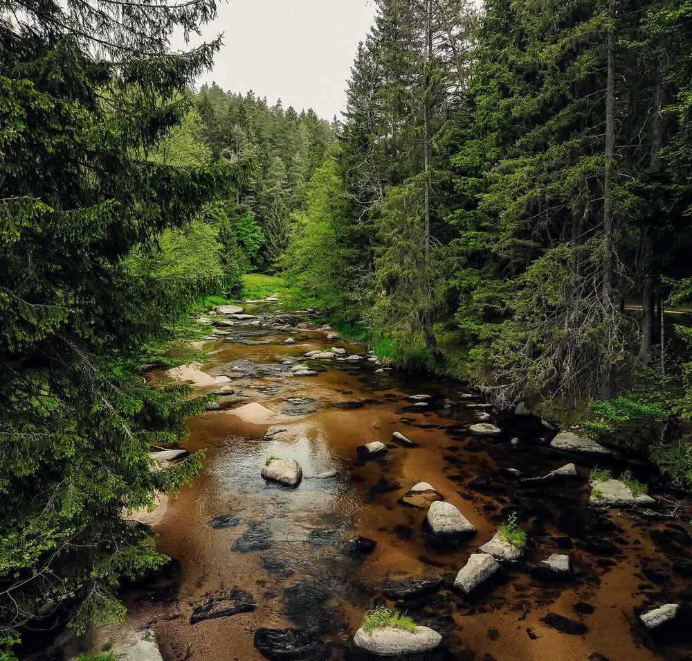 Ein sanfter Fluss schlängelt sich durch eine üppige, grüne Landschaft, umgeben von majestätischen Bäumen. Die ruhige Atmosphäre lädt dazu ein, die Natur in vollen Zügen zu genießen und die Seele baumeln zu lassen.