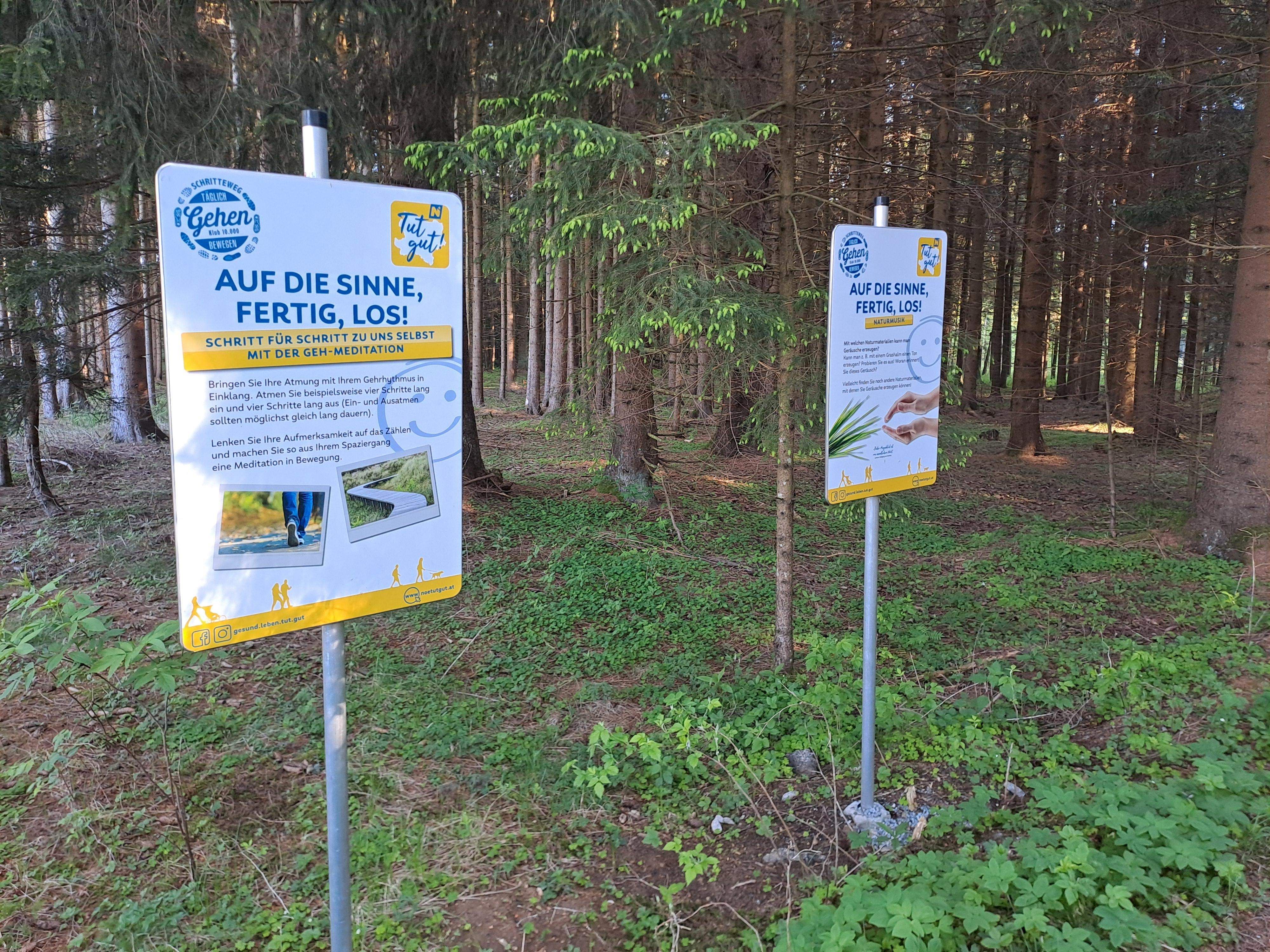 Zwei Infotafeln im Wald 
