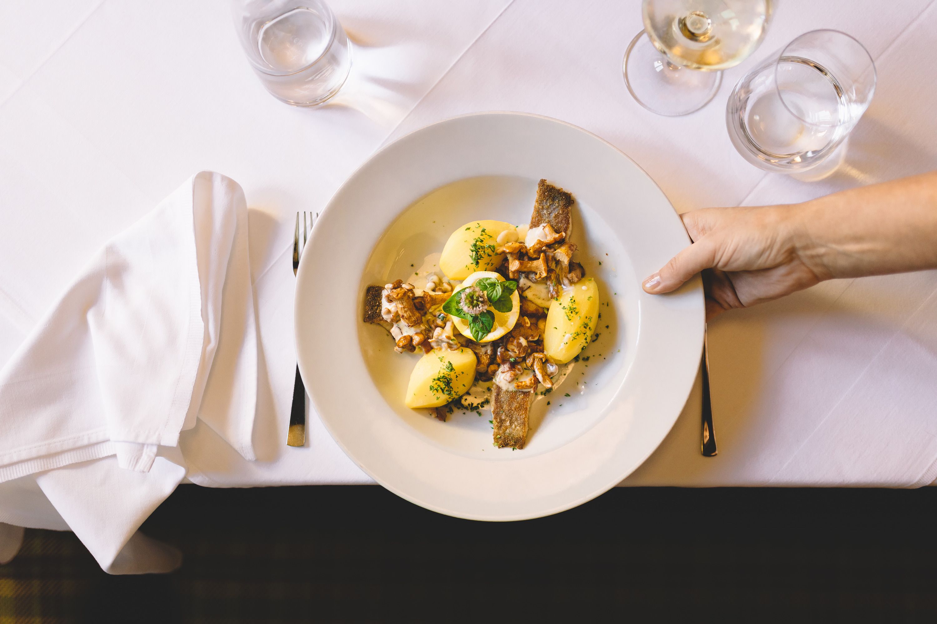 Ein Teller mit Karpfen, Kartoffeln und Pilzen auf einem weiß gedeckten Tisch.