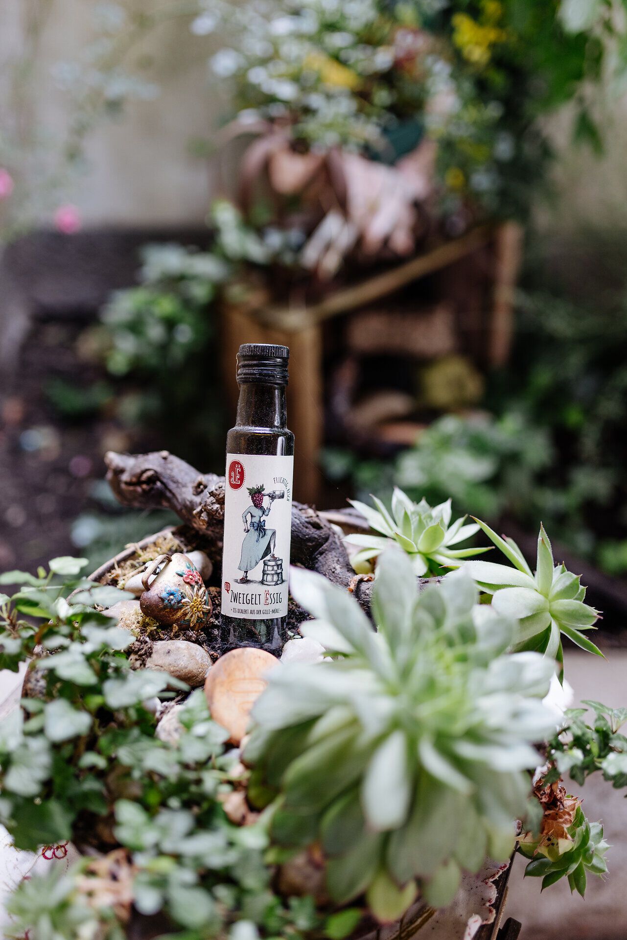 Inmitten einer üppigen Pflanzenlandschaft entfaltet sich die Schönheit der Natur. Ein Fläschchen Essig, umgeben von saftigen Sukkulenten und zarten Blüten, lädt dazu ein, die Aromen des Walviertels zu entdecken. Hier, wo die Frische der Zutaten auf die Kunst der Herstellung trifft, wird jeder Besuch zu einem genussvollen Erlebnis.
