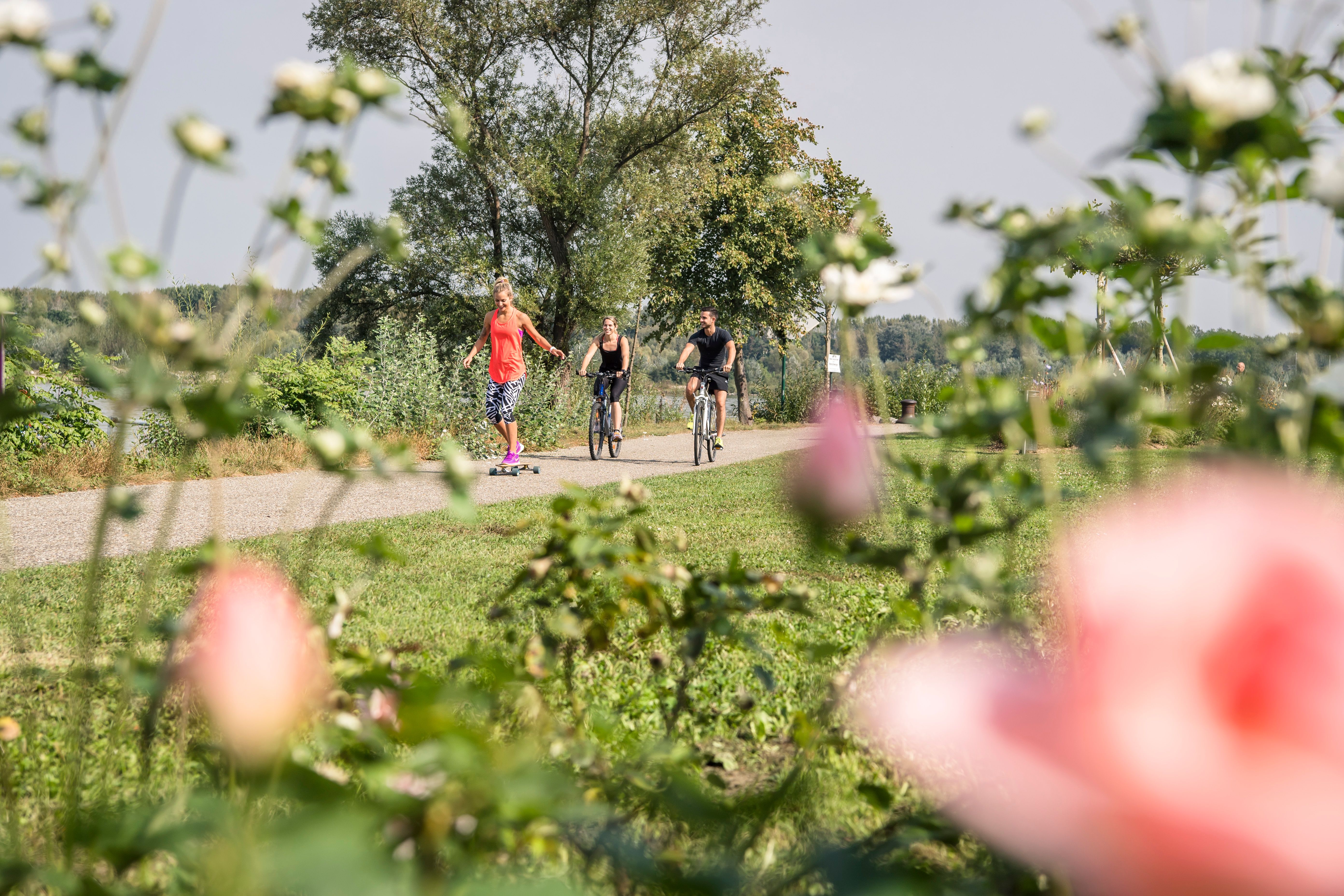 Donaulände Tulln