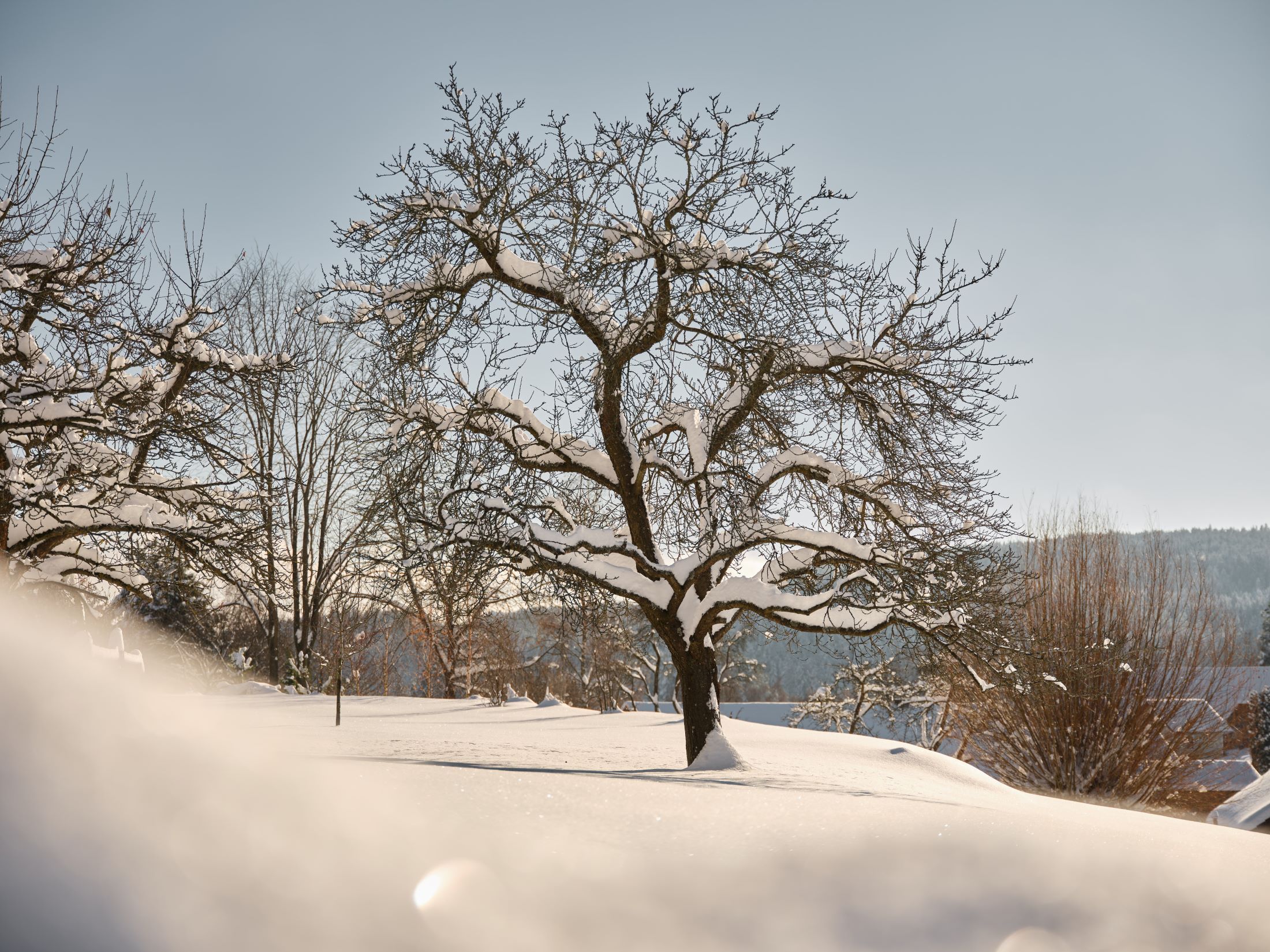 Winterruhe