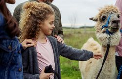 Ein fröhliches Mädchen streichelt sanft ein Alpaka, während ihre Familie um sie herum steht und die entspannte Atmosphäre genießt. Die sanften Farben der Natur und die neugierigen Tiere schaffen eine harmonische Verbindung, die den Besuchern unvergessliche Momente beschert.