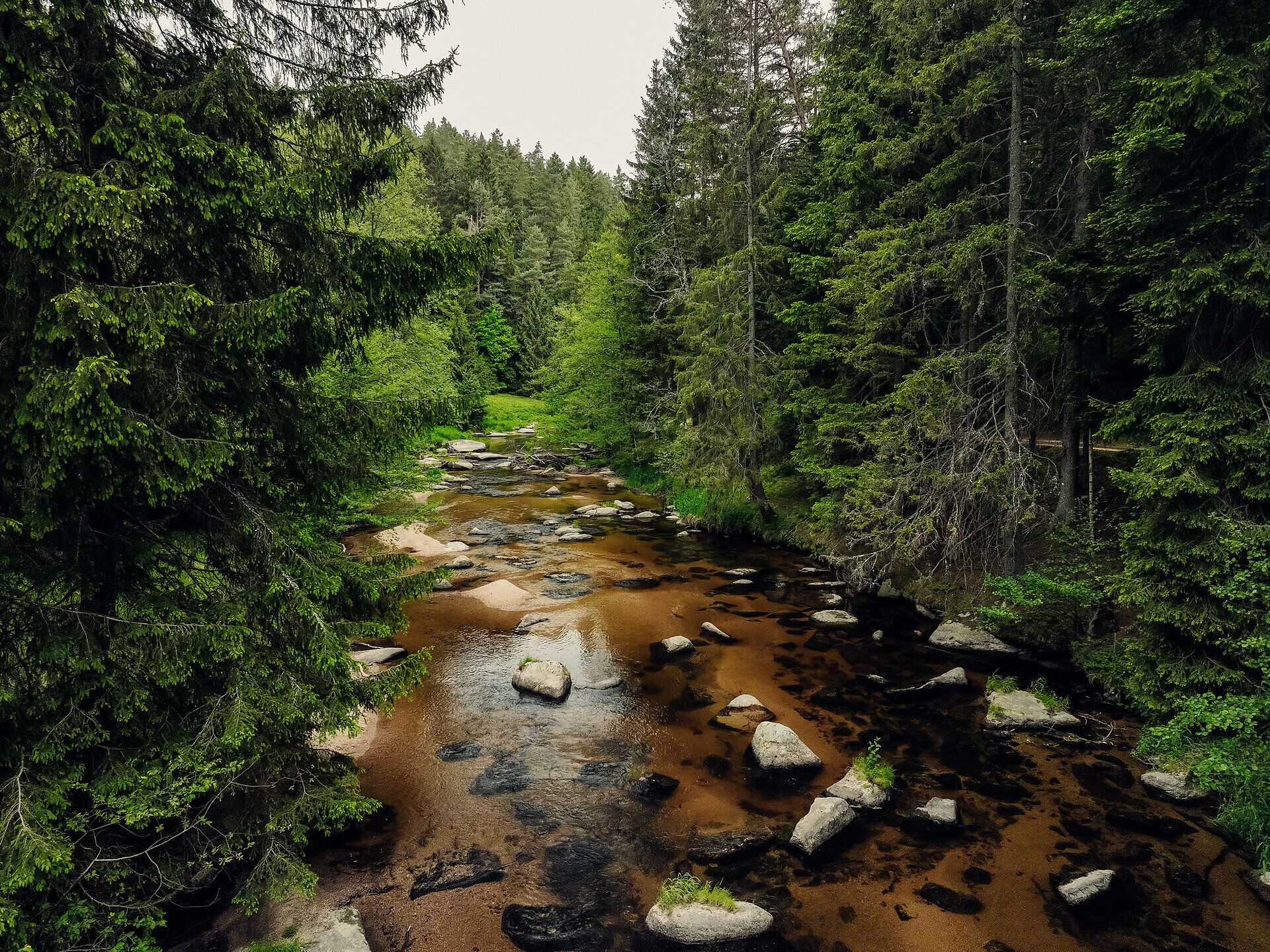 Ein sanfter Fluss schlängelt sich durch eine üppige, grüne Landschaft, umgeben von majestätischen Bäumen. Die ruhige Atmosphäre lädt dazu ein, die Natur in vollen Zügen zu genießen und die Seele baumeln zu lassen.