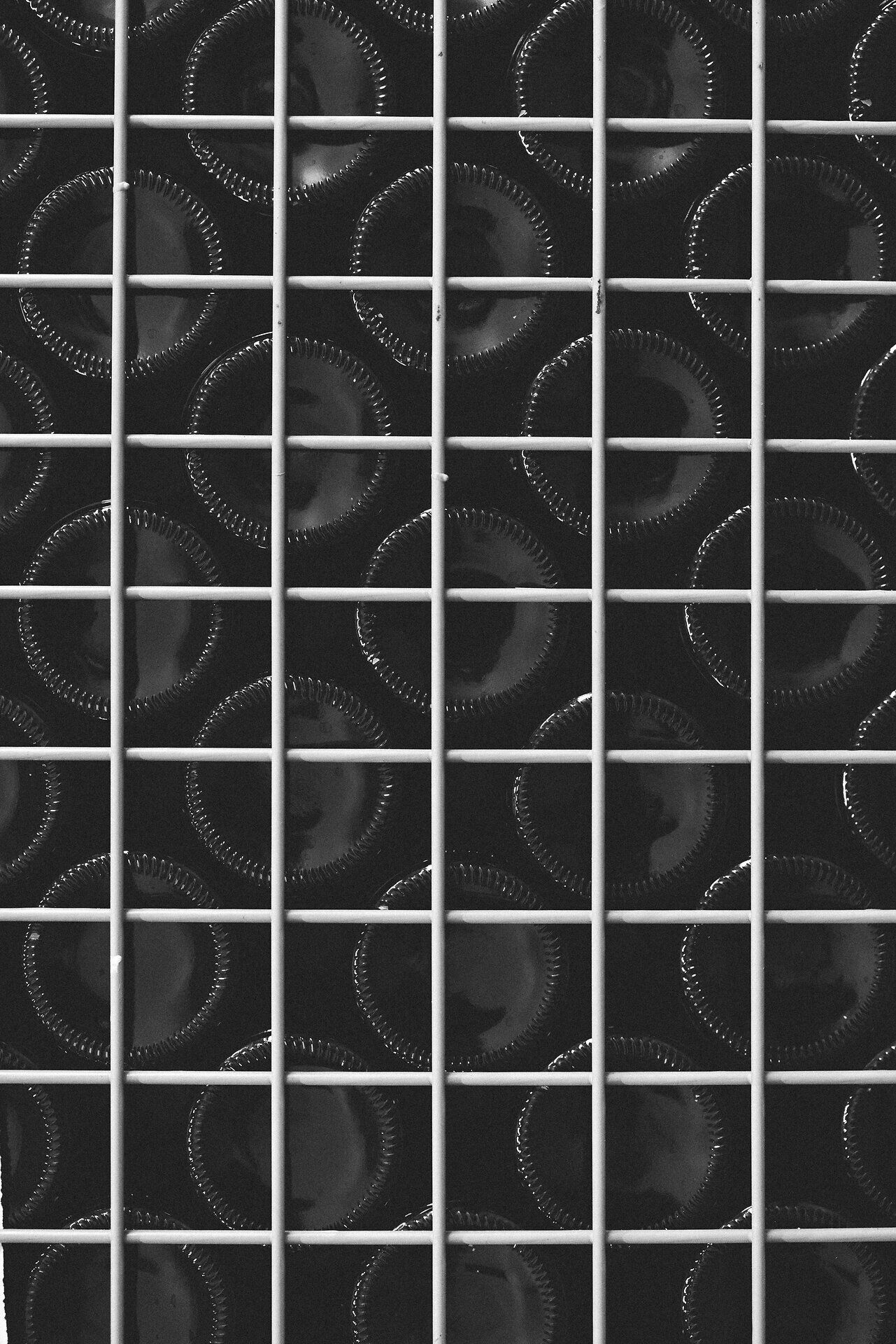 Inmitten der sanften Hügel des Kamptals reihen sich die Weinflaschen wie kostbare Schätze aneinander. Die tiefen, dunklen Farben der Flaschen spiegeln die reiche Tradition und die Leidenschaft der Winzer wider, die hier ihre edlen Tropfen kreieren. Ein Besuch in dieser malerischen Region verspricht nicht nur erlesene Weine, sondern auch unvergessliche Ausblicke auf die idyllische Landschaft.