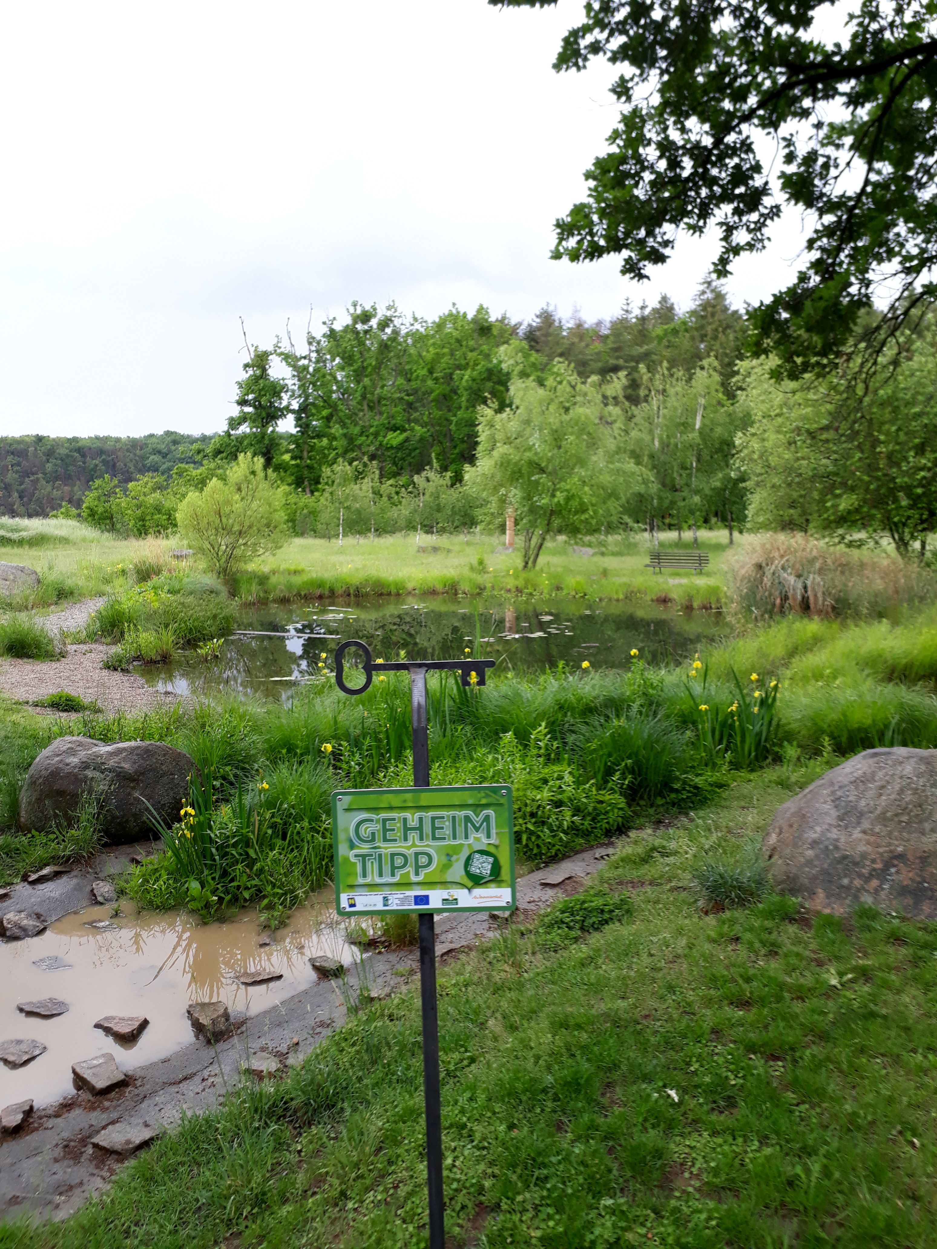 Ein grüner Teich mit Bäumen im Hintergrund und einem Schild mit der Aufschrift 'Geheim Tipp' im Vordergrund.