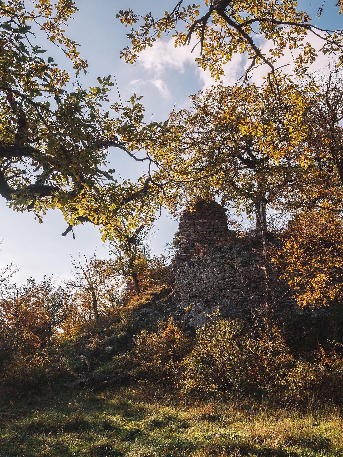Die sanften Hügel sind in warmen Herbsttönen getaucht, während die Ruine majestätisch zwischen den bunten Blättern hervorsticht. Ein Ort der Ruhe und der Geschichte, der zum Verweilen und Entdecken einlädt.