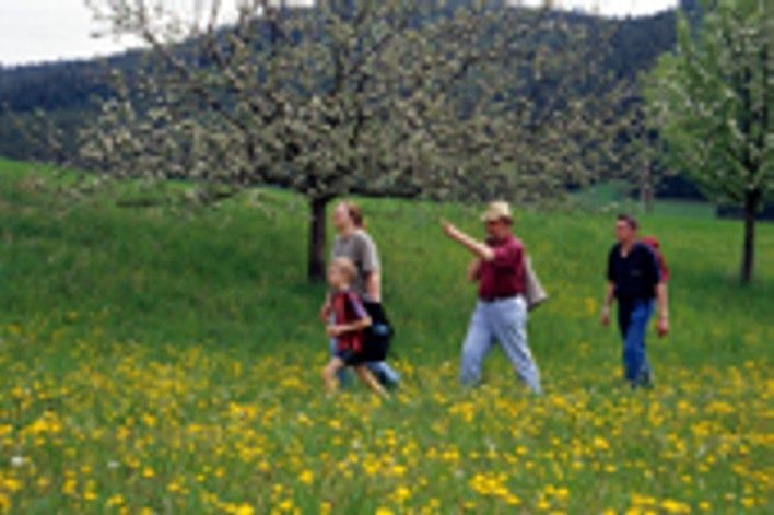 Kellergassenwanderung