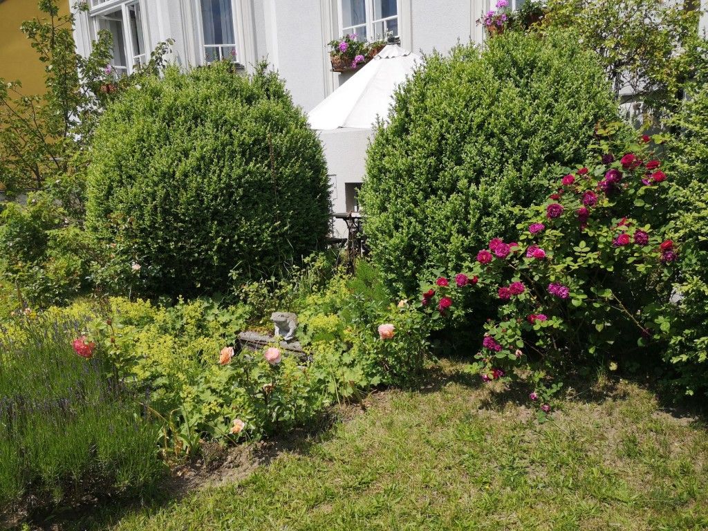 Schaugarten Hofbauer