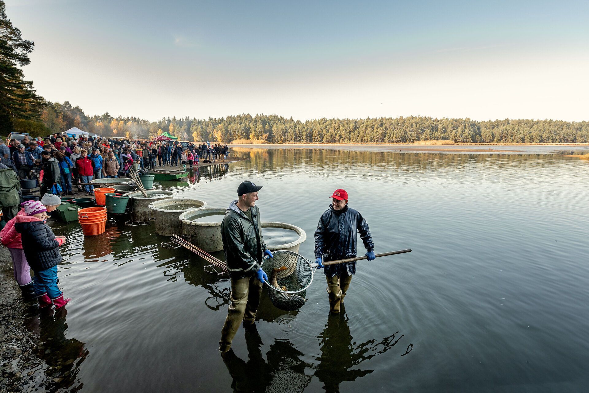 Am Ufer des Bruneiteichs versammeln sich zahlreiche Besucher, um das traditionelle Abfischfest zu feiern. Die fröhliche Atmosphäre wird von den Stimmen der Teilnehmer und dem Glitzern des Wassers begleitet, während die Fischer stolz ihre Netze präsentieren. Ein Fest für die Sinne, das die Schönheit der Natur und die Freude am gemeinsamen Erleben vereint.