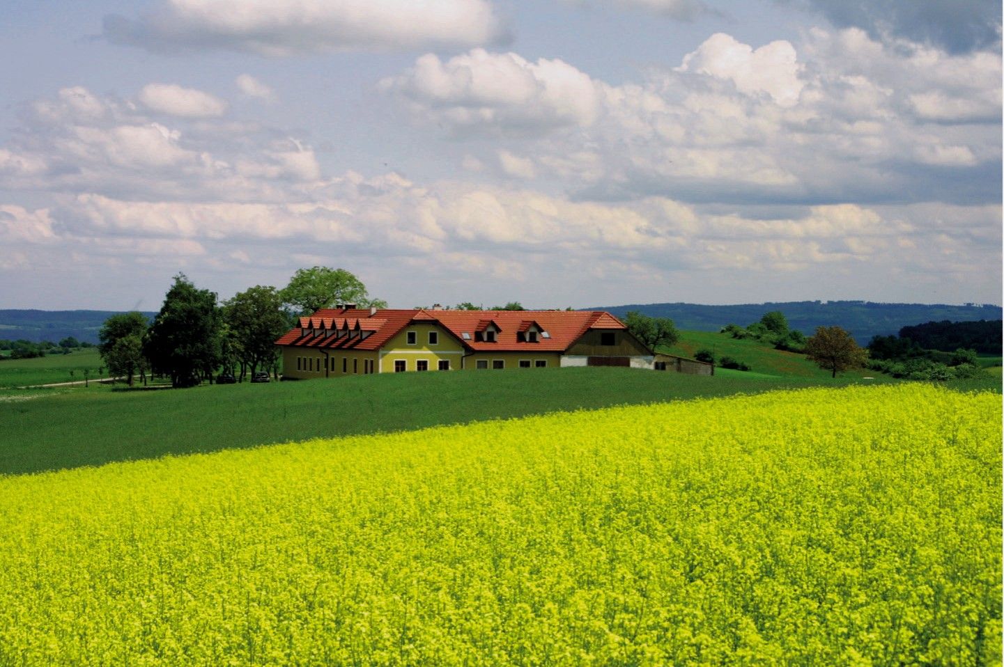 Ein Bauernhof mit roten Dächern inmitten von grünen Feldern und gelben Blumen unter einem bewölkten Himmel.