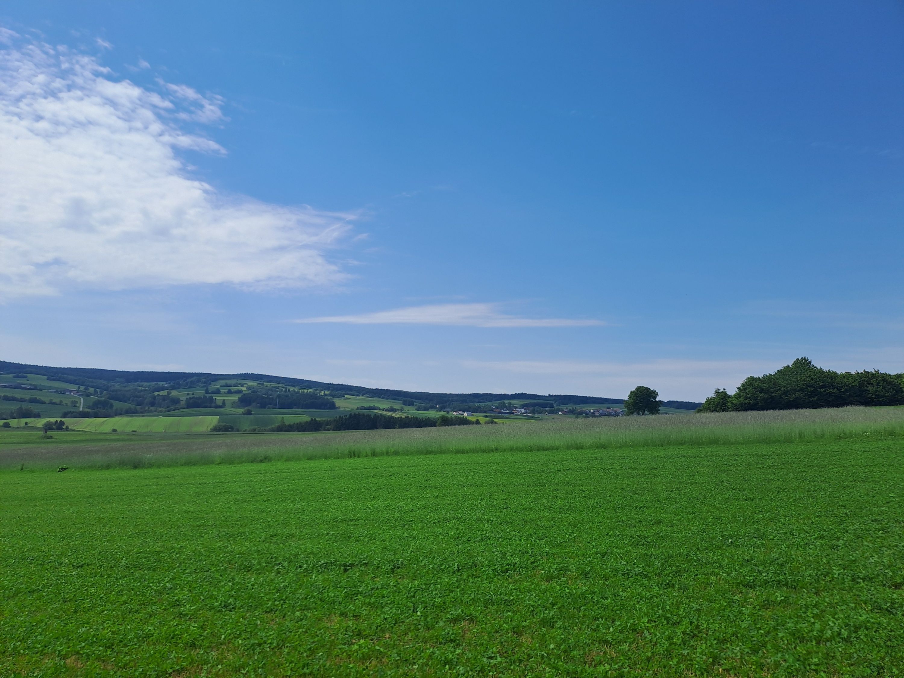 Ausblick über grüne Wiese und Felder