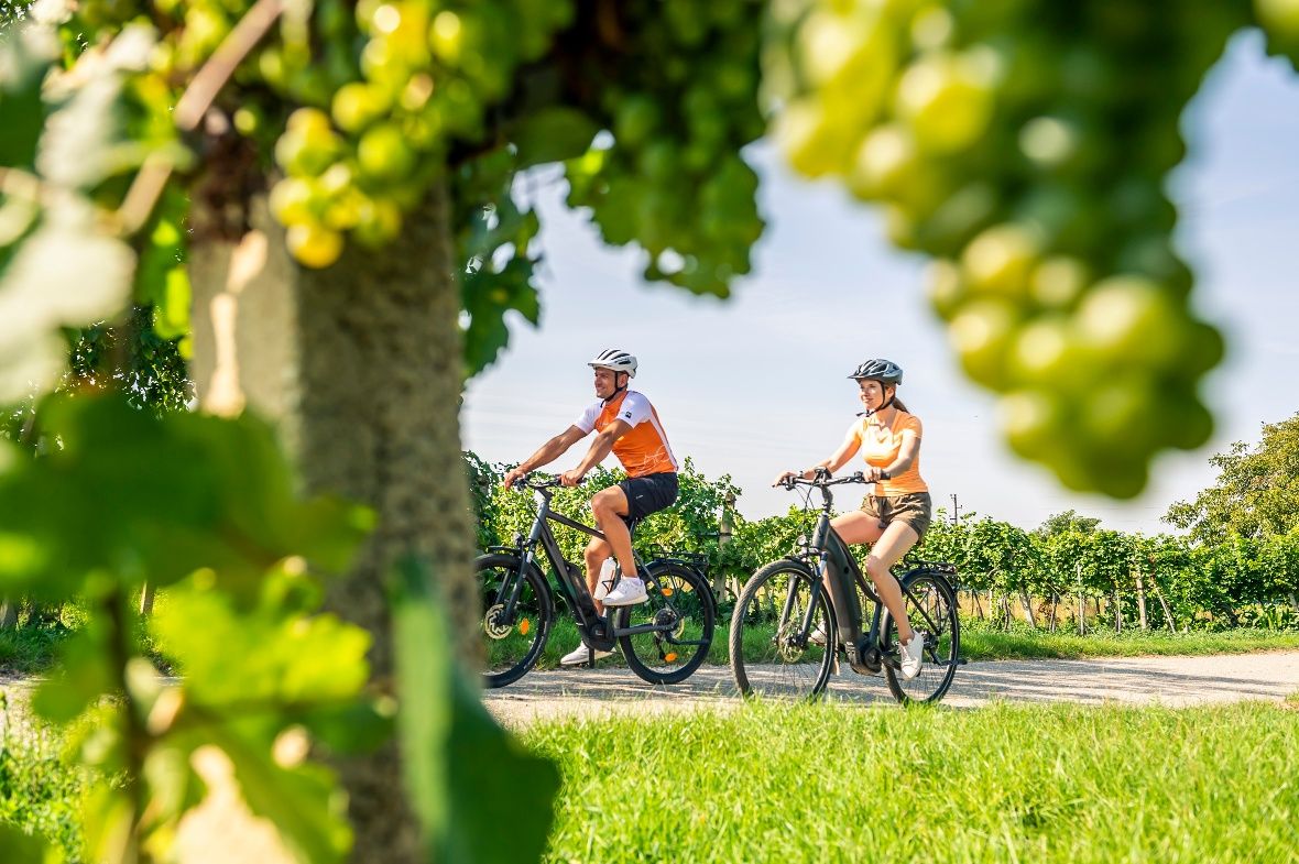 Die Weinviertler Landschaft per Rad genießen