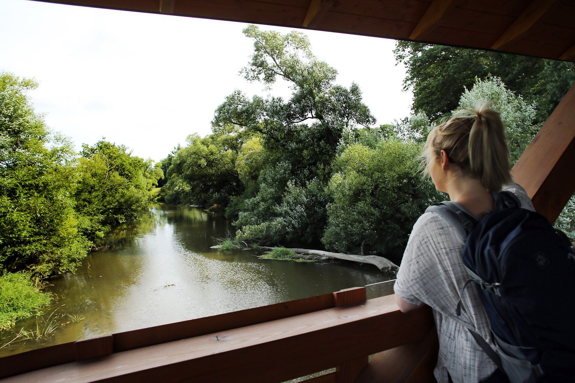 Ein ruhiger Moment am Ufer eines sanft fließenden Gewässers, umgeben von üppigem Grün und majestätischen Bäumen. Die friedliche Atmosphäre lädt dazu ein, die Natur in ihrer vollen Pracht zu genießen und den Alltag hinter sich zu lassen.