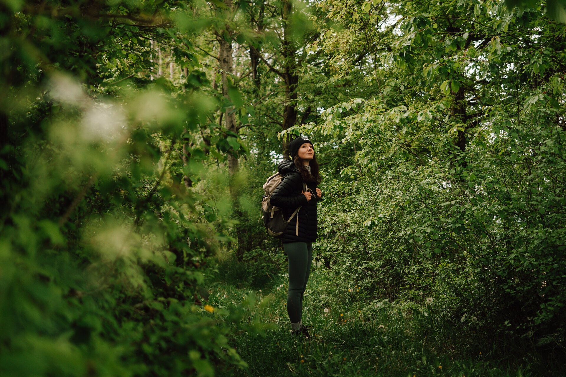 Inmitten üppiger, grüner Wälder entfaltet sich ein malerischer Wanderweg, der zum Verweilen einlädt. Die frische Luft und das sanfte Rascheln der Blätter schaffen eine harmonische Atmosphäre, die die Seele beruhigt. Hier, umgeben von der Natur, wird jeder Schritt zu einem unvergesslichen Erlebnis.