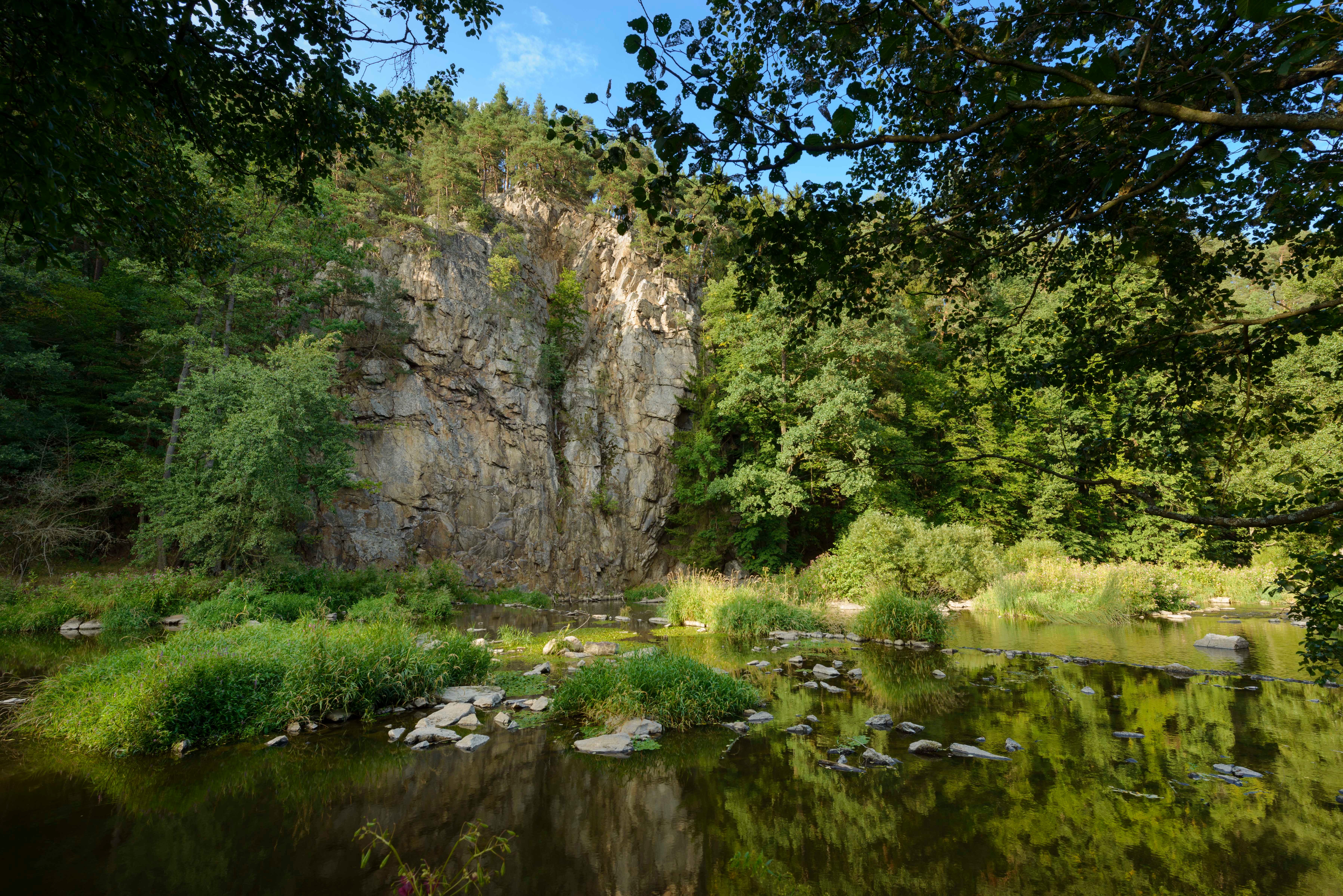 im Vordergrund sieht man den Fluss Thaya, dahinter ist ein großer Felsen eingebettet in naturnahem Mischwald