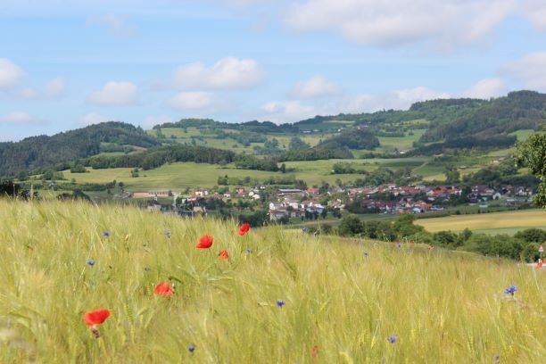 Blick-auf-raxendorf