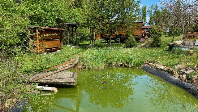 Natur pur in Oberhöflein