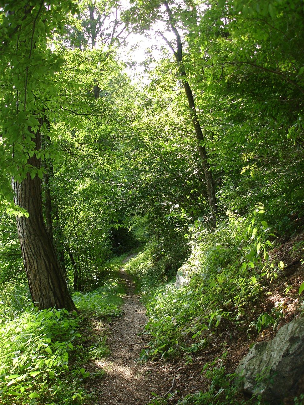 Holzhackerweg