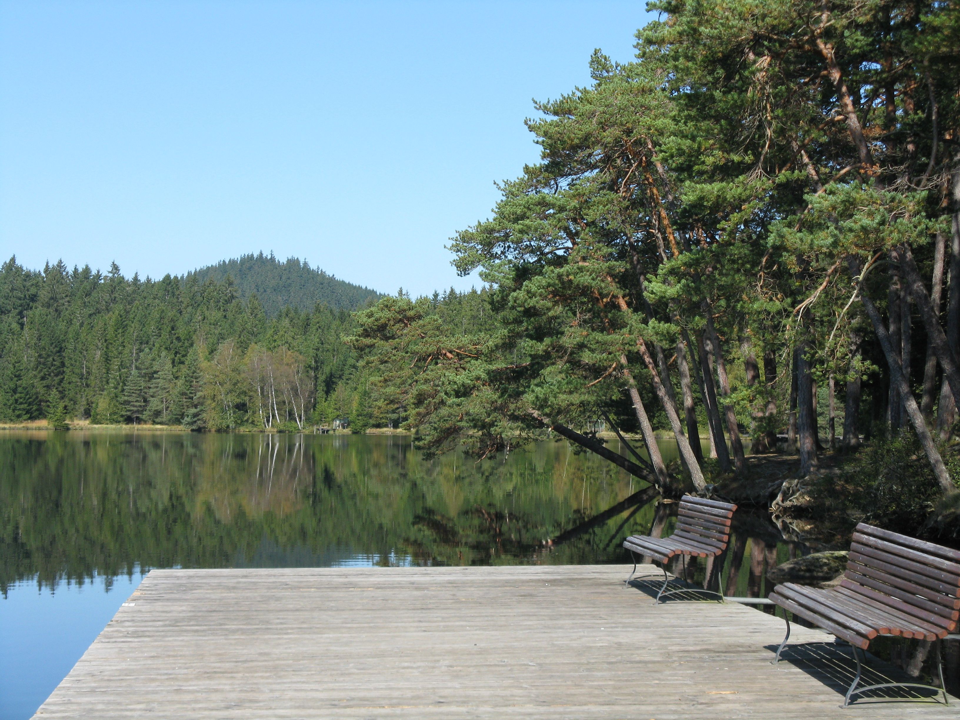 Ein ruhiger See mit Holzsteg und Bänken, umgeben von Wald und blauem Himmel.