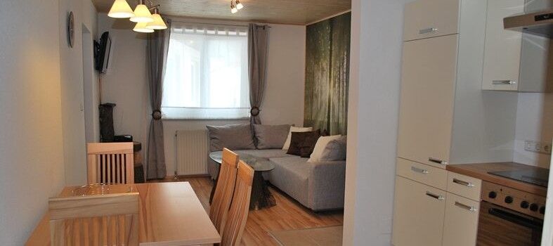 Wohnzimmer einer Ferienwohnung mit Esstisch, Stühlen, Sofa und Küchenzeile.