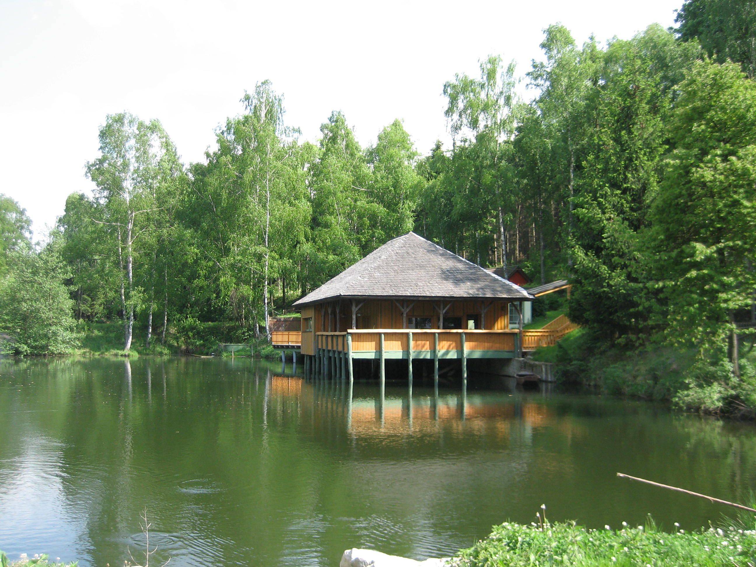 Holzhütte am Seeufer im Wald mit grünen Bäumen.