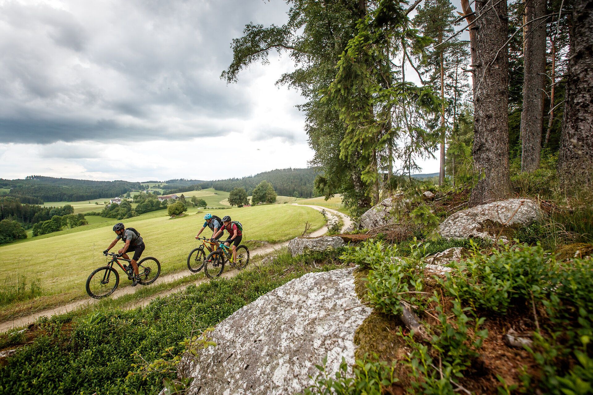 Die sanften Hügel laden zu einem unvergesslichen Mountainbike-Abenteuer ein, während die frische Luft und die atemberaubende Landschaft die Sinne beleben. Radfahrer gleiten über schmale Pfade, umgeben von üppigem Grün und majestätischen Bäumen, die eine harmonische Verbindung zur Natur schaffen.