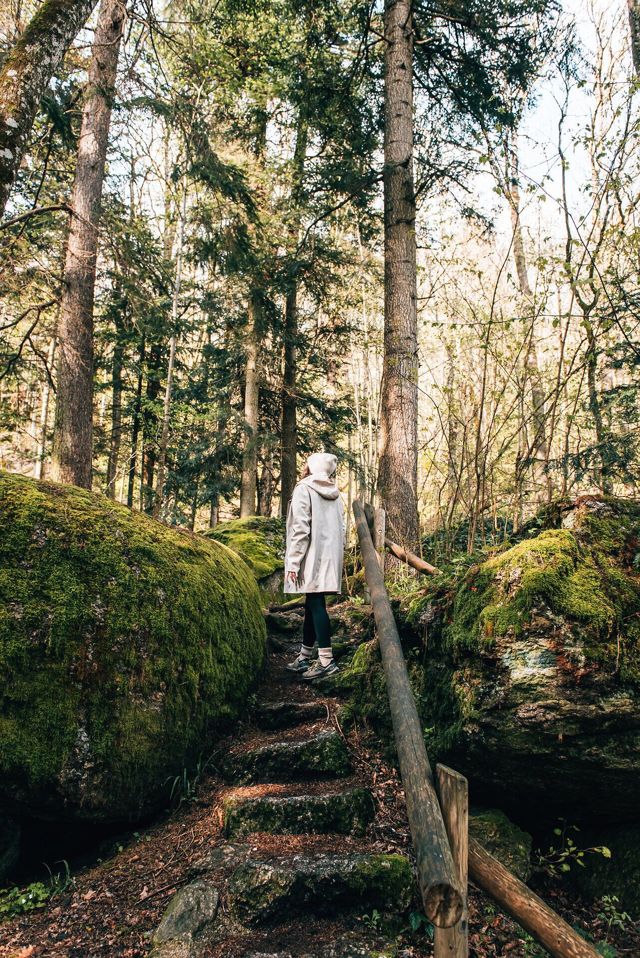 Ein sanfter Pfad schlängelt sich durch die üppige, grüne Landschaft der Ysperklamm, umgeben von majestätischen Bäumen und moosbedeckten Felsen. Die frische, klare Luft und das sanfte Rauschen des Wassers schaffen eine harmonische Atmosphäre, die zum Verweilen und Entdecken einlädt.